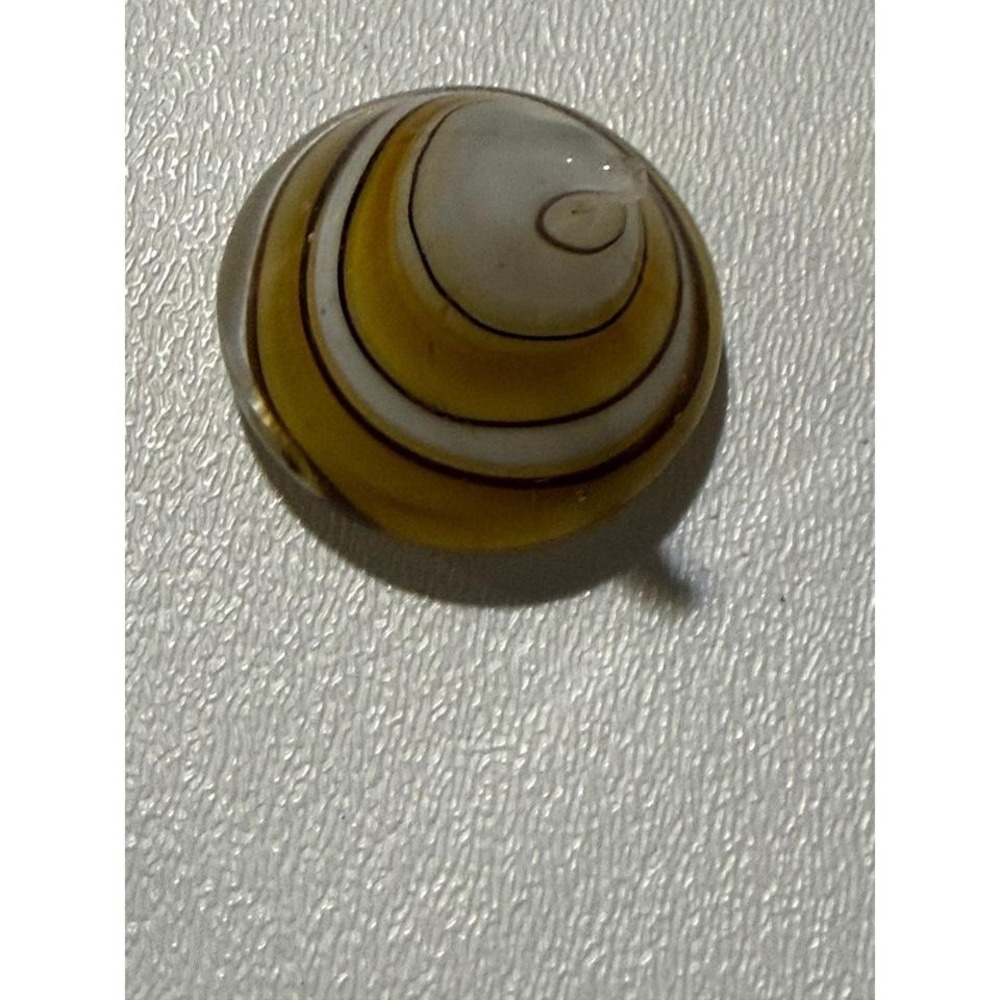 Dynasty Gallery Handcrafted Art Glass Shell Paperweight Amber White Swirl Decor